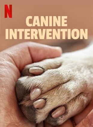 Cole��o Digital Interven��o Canina Todas Temporadas Completo