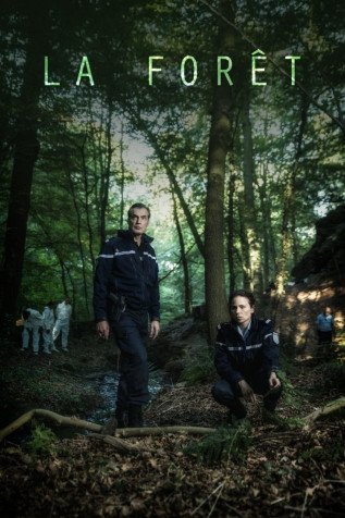 Cole��o Digital O Bosque Todas Temporadas Completo Dublado