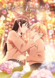 Imagem 1