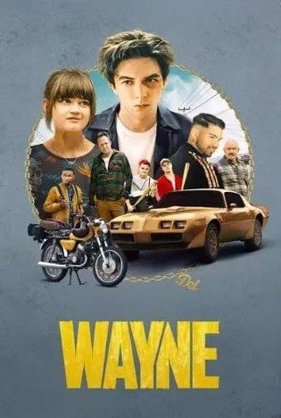 Cole��o Digital Wayne Todas Temporadas Completo Dublado
