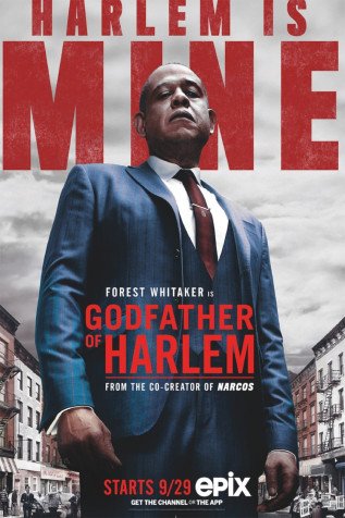 Cole��o Digital Godfather of Harlem Todas Temporadas Completo