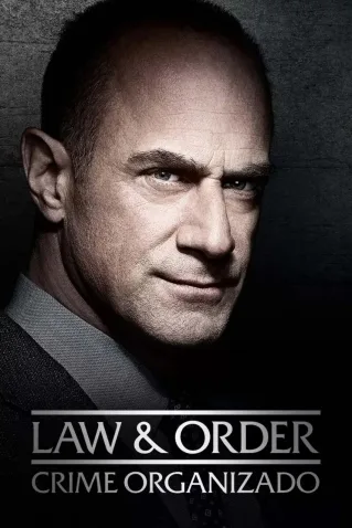 Cole��o Digital Law and Order: Organized Crime Todas Temporadas Completo Dublado
