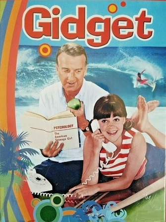 Coleo Digital Gidget Todas Temporadas Completo Dublado