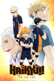 Cole��o Digital Haikyuu!! Todos Epis�dios Completo