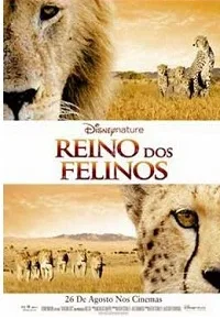 Cole��o Digital Reino Dos Felinos Document�rio Completo