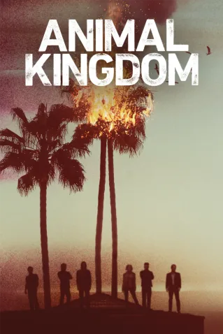 Cole��o Digital Animal Kingdom Todas Temporadas Completo