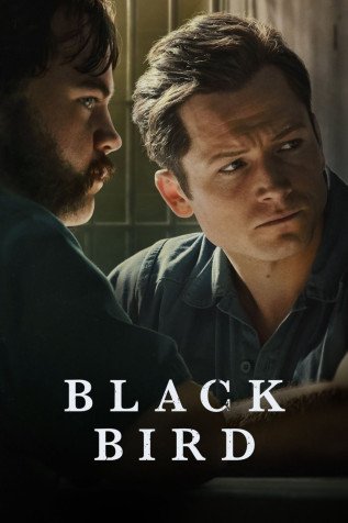 Cole��o Digital Black Bird Todas Temporadas Completo Dublado