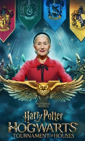 Cole��o Digital Harry Potter - O Campeonato das Casas de Hogwarts Todas Temporadas Completo Dublado