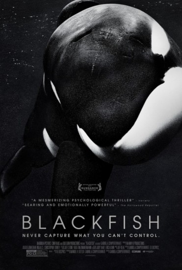 Coleo Digital Blackfish - Fria Animal Documentrio Completo