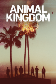 Coleo Digital Animal Kingdom Todas Temporadas Completo