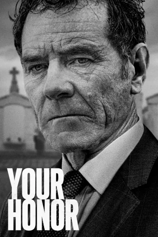 Cole��o Digital Your Honor Todas Temporadas Completo