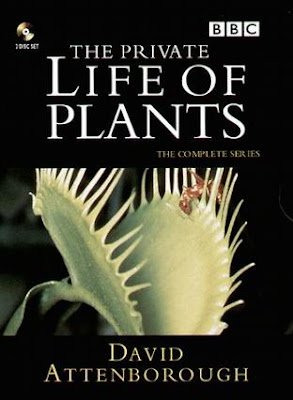 Cole��o Digital A Vida Secreta Das Plantas Document�rio Completo