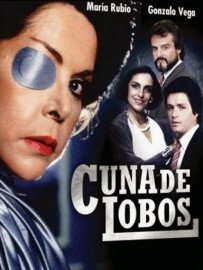 Novela Ambição Todos Capítulos Completos Envio Digital