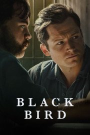Coleo Digital Black Bird Todas Temporadas Completo Dublado