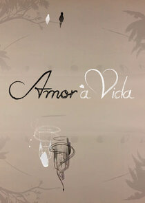 Novela Amor  Vida Todos Captulos Completos Envio Digital