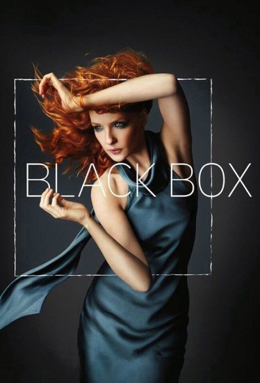 Coleo Digital Black Box Todas Temporadas Completo Dublado