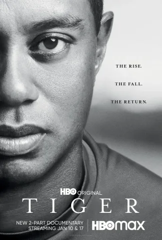 The Tiger Todas as Temporadas Completo Dublado