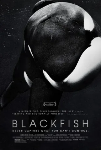 Cole��o Digital Blackfish - F�ria Animal Document�rio Completo