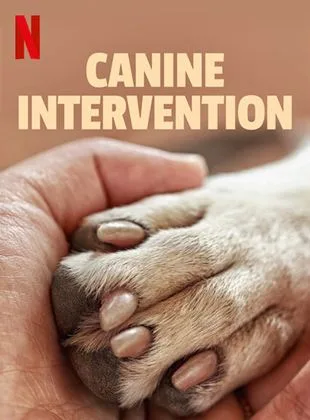Cole��o Digital Interven��o Canina Todas Temporadas Completo