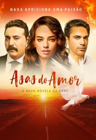 Novela Asas do Amor Todos Cap�tulos Completos Envio Digital