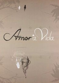 Novela Amor  Vida Todos Captulos Completos Envio Digital