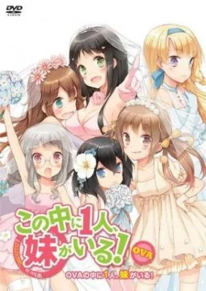 Cole��o Digital Kono Naka Ni Hitori Completo
