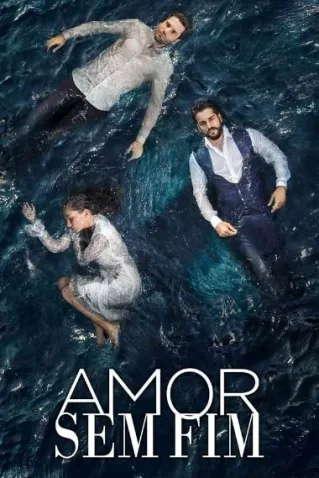 Cole��o Digital Amor Sem Fim Todas Temporadas Completo Dublado