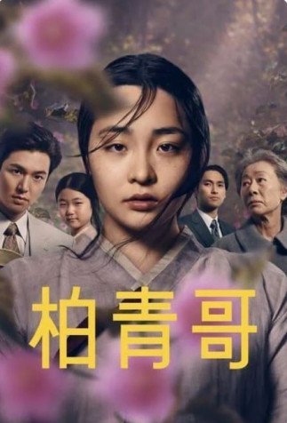 Cole��o Digital Pachinko Todas Temporadas Completo Dublado