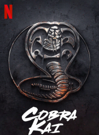 Coleção Digital Cobra Kai Todas Temporadas Completo Dublado