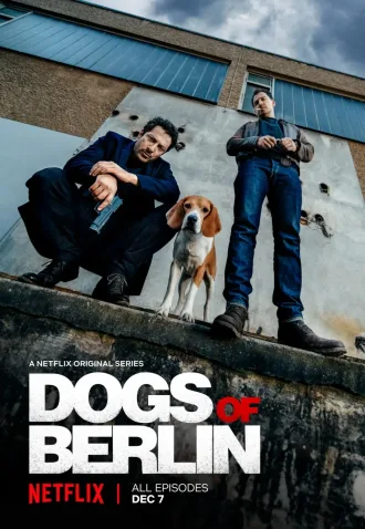 Cole��o Digital Dogs of Berlin Todas Temporadas Completo