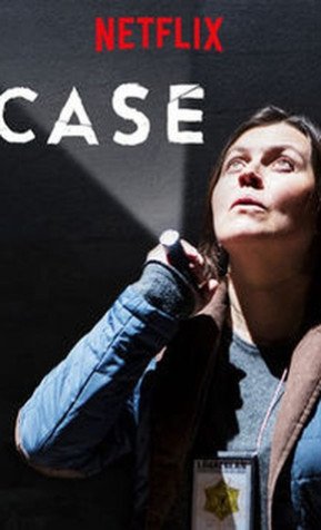 Cole��o Digital Case Todas Temporadas Completo Dublado