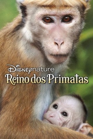 Cole��o Digital O Reino Dos Primatas Document�rio Completo